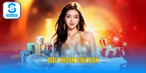 ĐIỀU KHOẢN ĐIỀU KIỆN 8s