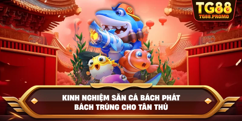 Kinh nghiệm săn cá bách phát bách trúng cho tân thủ
